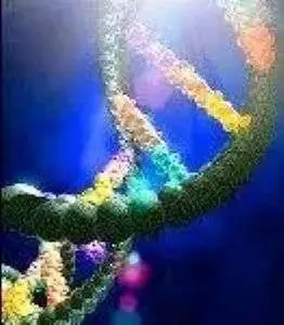 DNA